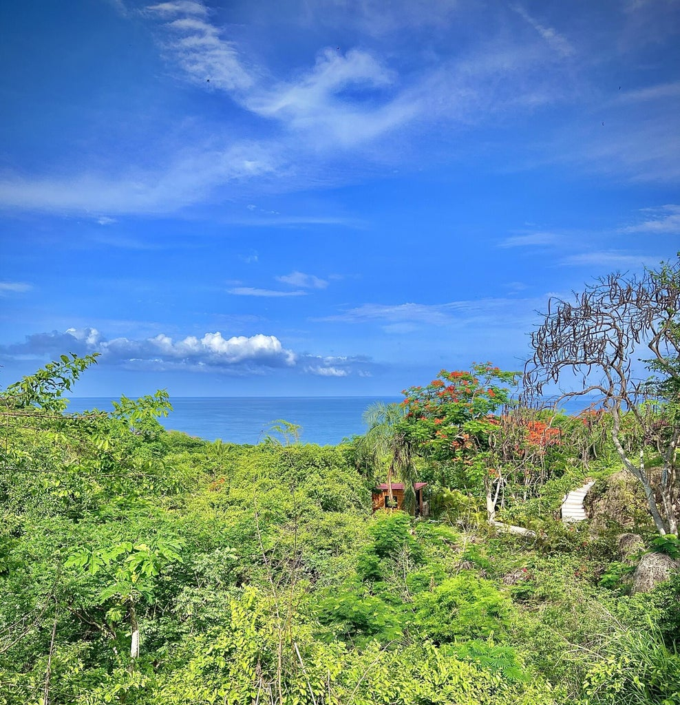 Sayulita Club #7